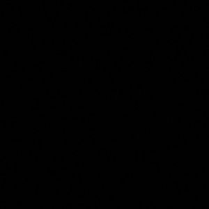 Meet your Posher, Shaji